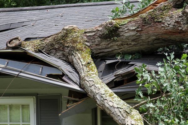 Storm Remediation in Huntersville