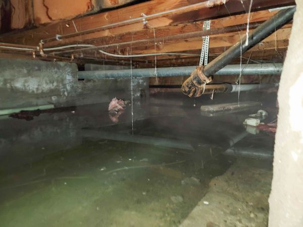 Water Mitigation Service in Huntersville
