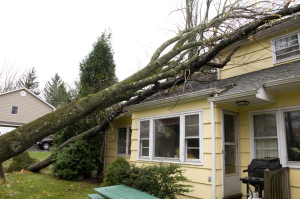 Cost of Hurricane Damage Repair in Huntersville