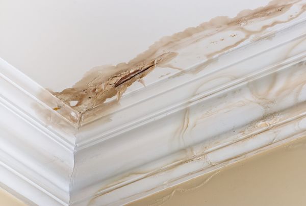 Water Damage Recovery in Huntersville